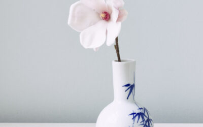 Sweet magnolia